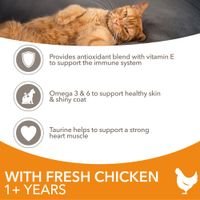 100g IAMS Advanced Nutrition Adult Cat with Chicken