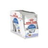 ROYAL CANIN Indoor Jelly Adult Wet Cat Food 85g