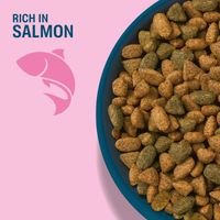 Perfect Fit Adult 1+ Rich in Salmon