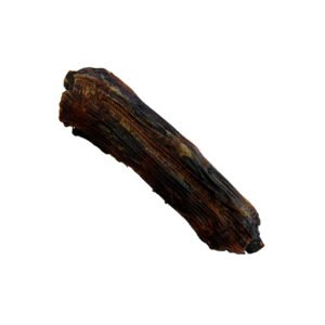 AUSTRALIAN Kangaroo Tail Dog Treat 1pcs