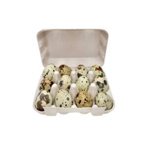 FREEZY PAWS Quail Eggs Freeze Dried Pet Treats 12pcs
