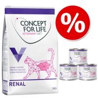901792_renal_6.jpg