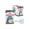 ROYAL CANIN Hairball Care Jelly Adult Wet Cat Food 85g