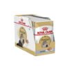 ROYAL CANIN Persian Loaf Adult Wet Cat Food
