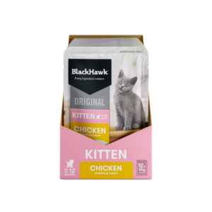 BLACK HAWK Original Chicken in Gravy Kitten Wet Cat Food