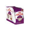 ROYAL CANIN Sensory Taste Gravy Adult Wet Cat Food 85g
