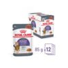 ROYAL CANIN Appetite Control Gravy Adult Wet Cat Food 85g/85gx12