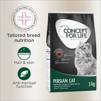 Concept for Life Persian Adult