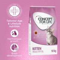 concept_for_life_kitten_harmonious_growth_brain_development_7.jpg