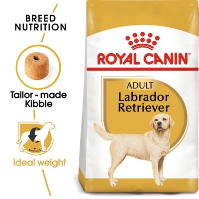 rc_bhn_labrador_mv_eretailkit__6.jpg