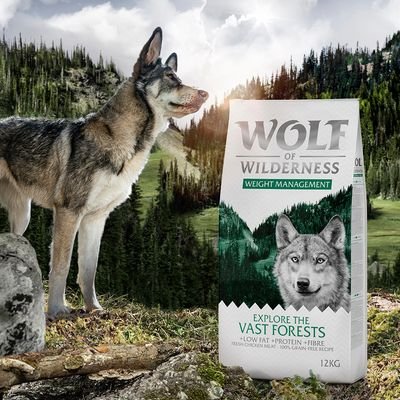 zop_20_119__wolf_of_wilderness_explore__vast_forests_1000x1000_0.jpg